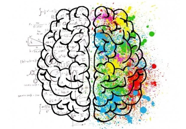 Dibujo del cerebro humano visto desde arriba, la mitad derecha con manchas de colores y la mitad izquierda con fórmulas matemáticas
